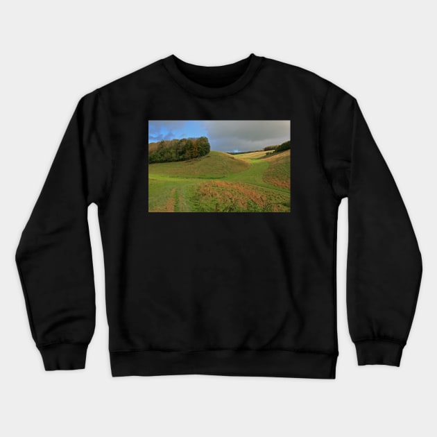 Arundel Park Crewneck Sweatshirt by RedHillDigital